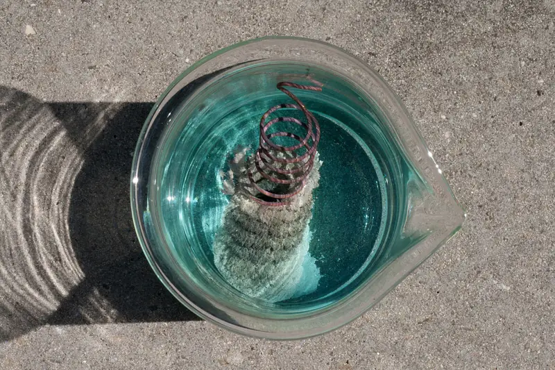 Silver crystals growing on copper wire in silver nitrate solution, which turns blue