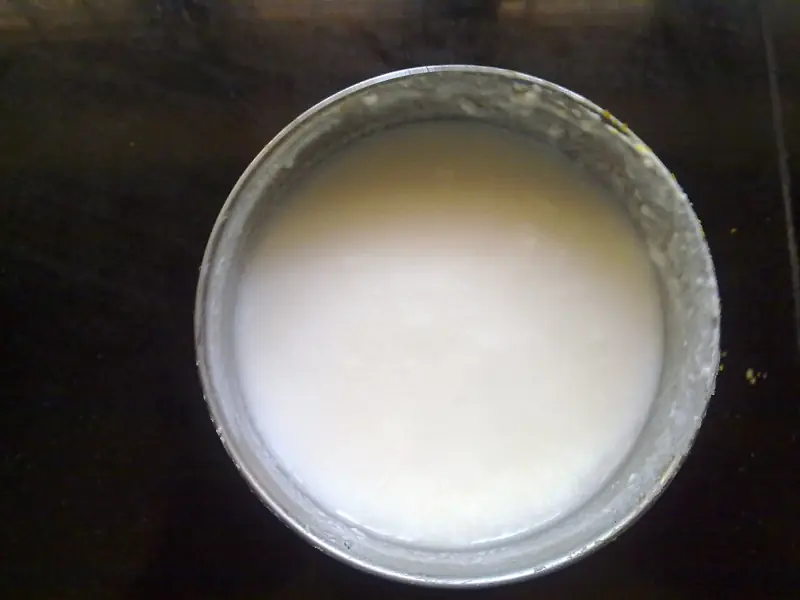 Set curd in a steel bowl